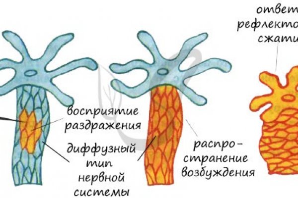 Кракен войти